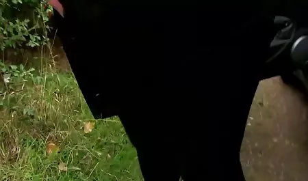 Kate Sottile Pov Striptase از blowjob کامل فیلم های جدید سکسی اینستاگرام